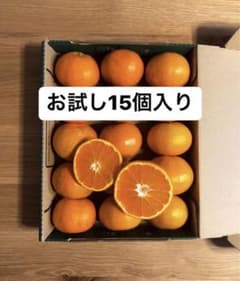 おばあちゃんのみかん〜約15個入〜のサムネイル
