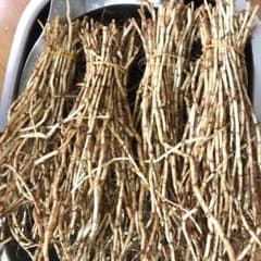 新鮮なドクダミの根(鱼腥草)500g洗い済みのサムネイル