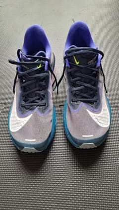 NIKE ZOOM FLY6 26.0cmのサムネイル