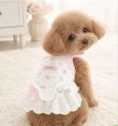 犬用 花柄 レース ワンピース ピンク XL - メルカリ