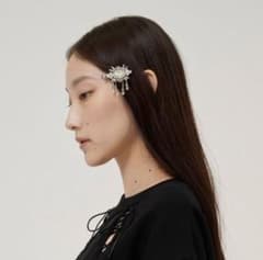 tanakadaisuke】crystal hair clip left - メルカリ