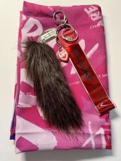 宮野真守⭐︎LIVEグッズセット（スカーフ/キーホルダー）のサムネイル