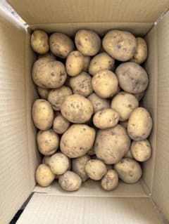 無農薬 新じゃがいも キタアカリ7.5キロSサイズ〜Lサイズ80サイズ箱いっぱいのサムネイル