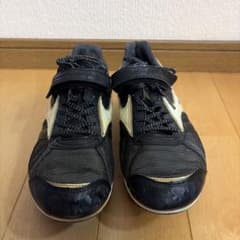 フィールドジオAJのサムネイル