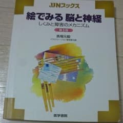 絵で見る 脳と神経のサムネイル