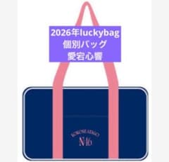 乃木坂46 限定 愛宕心響 個別バッグ バック 2026 luckybag - メルカリ