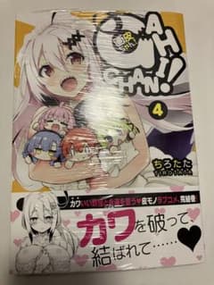 画皮ちゃん! 4巻 完結 シュリンク付 - メルカリ