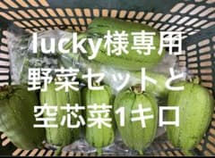 野菜セット 夕顔2本2キロとヘチマ2キロと 空芯菜1キロのサムネイル