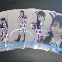 日向坂46 生写真 五期生LIVE キービジュアル 4種コンプ 高井俐香
