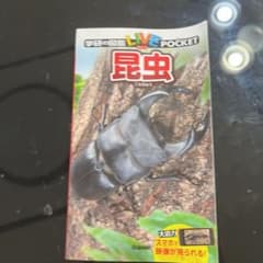 学研　ポケット図鑑　昆虫のサムネイル