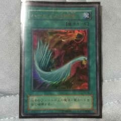 ハーピィの羽根箒のサムネイル