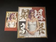龍が如く 冠婚葬祭展 入場特典 ショットイメージカードコレクション ソンヒ