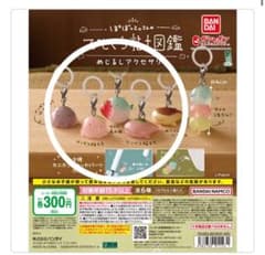 ひとくち粘土図鑑　めじるしアクセサリーのサムネイル