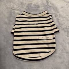 犬服 maroのサムネイル