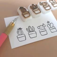 サボテンのサムネイル