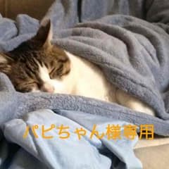 パピちゃん様専用ページのサムネイル