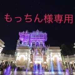 もっちん様専用 ネックレスのサムネイル
