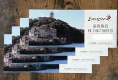 江の島アイランドスパ 株主様ご優待券 4枚セットのサムネイル