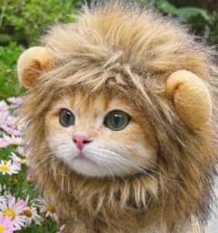 ペット用 ライオン たてがみ 帽子 猫用 被り物のサムネイル