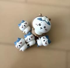 하치와레 허그콧 치이카와 수족관 소프비 정리