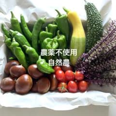農薬不使用　夏野菜と栗　詰め合わせ　自然栽培のサムネイル