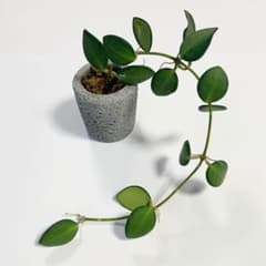 m58773932632_1.jpg?1723804677