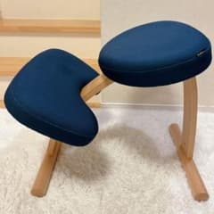 Balans Easy バランスイージー 学習椅子 サカモトハウス ネイビー