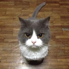 連絡用のサムネイル