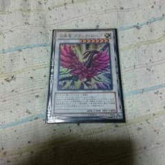 月華竜ブラックローズのサムネイル