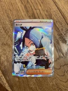 キハダ SARのサムネイル