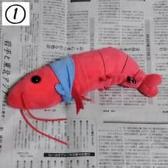 使用済】しらす隊 エビ ぬいぐるみ - メルカリ
