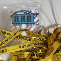 WEST.　2025 ツアー　AHO　ペンライト　銀テフル10本付きのサムネイル