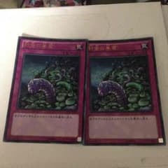 遊戯王針虫の巣窟のサムネイル