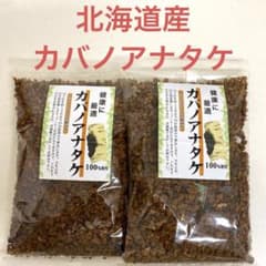 カバノアナタケ 北海道産 100g×2袋 チャーガ カバノアナタケ茶
