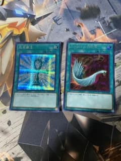 ハーピィの羽根帚 シク＋αのサムネイル