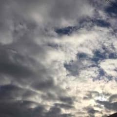 せんようのサムネイル