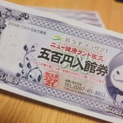 佐久平プラザ21 ニュー健康ランド佐久 500円入館券 3枚のサムネイル