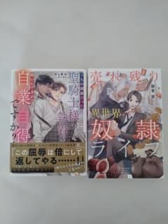 BL小説 2冊セット