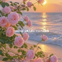 yomogi ※購入前にプロフ必読様　エクリュs yomogi ※購入前にプロフ必読様 エクリュs - メルカリ
