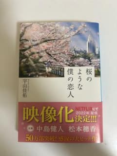 桜のような僕の恋人　宇山佳佑のサムネイル