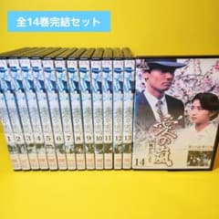 新品ケース交換済み 愛の嵐 東海テレビ 昼ドラ DVD全14巻セット