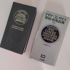 デイリーコンサイズ英和・和英辞典 第3版