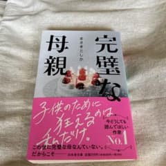 完璧な母親のサムネイル