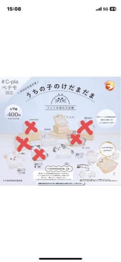 プードル2 ミックス1のサムネイル