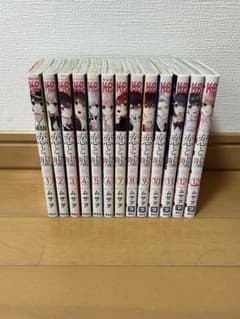恋と嘘 全13巻セットのサムネイル