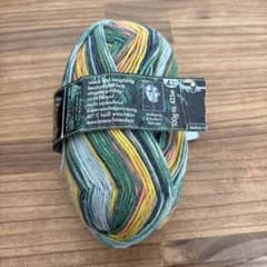 Opal毛糸 Regendwald15 4-fach 9770のサムネイル