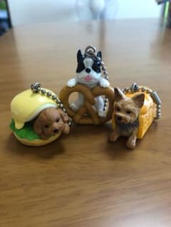 いぬぱん いぬパン 犬パン ガチャガチャ 6個まとめてのサムネイル
