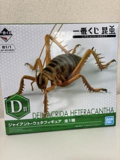 [제일 복권 곤충] D 상 BANDAI 자이언트 웨타 피규어
