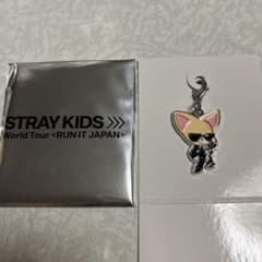 StrayKids RUN IT ランダム キーホルダー チャーム フォクシニー