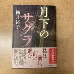 月下のサクラのサムネイル